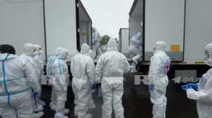 ‼️🇷🇺🇺🇦 564 на 41: Россия и Украина проводят обмен погибшими военными

▪️Киеву передадут 526 тел,