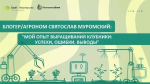 Блогер/агроном Святослав Муромский: «Мой опыт выращивания клубники: успехи, ошибки, выводы»
