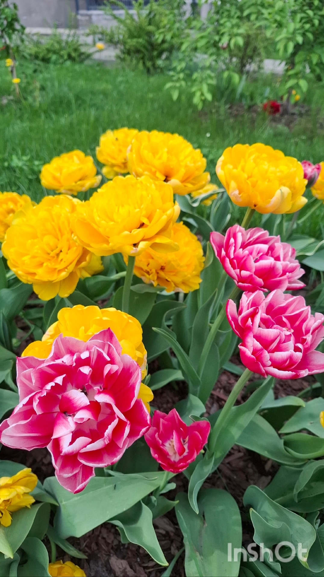 Нежный май💐 букет самых очаровательных цветов. Аромат пробуждения: майские цветы во всей красе🥰
