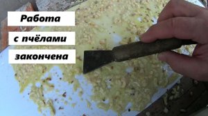 Работа с пчёлами окончена? началась работа с клещами.