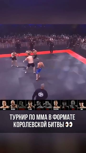В Испании провели турнир по ММА в формате королевской битвы смотреть онлайн