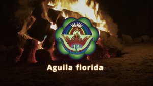 Песни Красного Пути: Aguila Florida