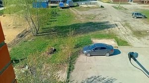 Жарю куриные крылья .