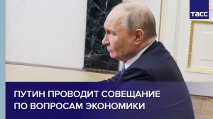 Путин проводит совещание по вопросам экономики