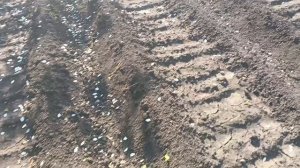 Уже 15 мая,что сделано в огороде