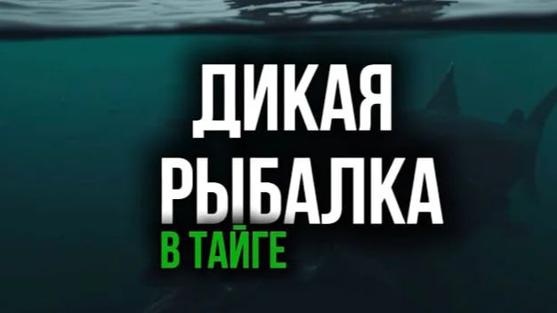ДИКАЯ РЫБАЛКА В СУРОВОЙ ТАЙГЕ рыбацкие рассказы