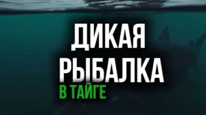 ДИКАЯ РЫБАЛКА В СУРОВОЙ ТАЙГЕ рыбацкие рассказы