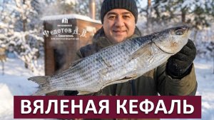 Вяленая кефаль. Ценные советы по приготовлению рыбы. Коптильни ИП Федотов А. В.