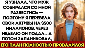 Я Узнала, Что Муж Планирует Развод Поэтому Перевела Своё Состояние В $500 Миллионов. Через Неделю
