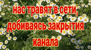 НАС ТРАВЯТ В СЕТИ, ДОБИВАЯСЬ ЗАКРЫТИЯ КАНАЛА!!