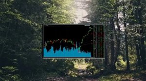 Акции повторяют ТОЧНУЮ траекторию роста на пике пузыря доткомов — прямо перед крахом!