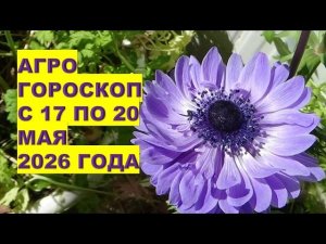 Почему 17 и 18 мая 2026 года НЕЛЬЗЯ Ничего Сеять и Сажать?!