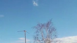 Праздничный стол.
