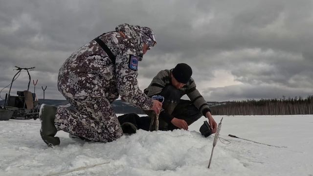 Битва со щукой в коряжнике. Рыбалка по-братски покажет