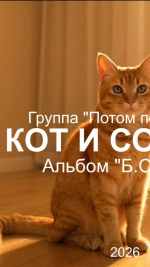 3. Кот и Солнце - Группа «Потом Послушаю», Альбом «БСДДБ», 2026