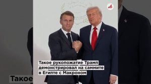 Си Цзиньпин и Трамп: эксперт Анищенко дал оценку рукопожатию глав КНР и США
