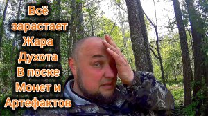 Всё заростает жара духота поиск монет и артефактов