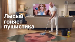 Лысый гоняет пушистого