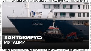 СМИ: мутации хантавируса не представляют угрозы