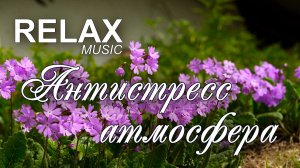 🌼 RELAX | НЕЖНАЯ МУЗЫКА ДЛЯ ДУШИ И ОТДЫХА — ЦВЕТОЧНОЕ ПОЛЕ, ПЕНИЕ ПТИЦ И РАССЛАБЛЯЮЩАЯ АТМОСФЕРА