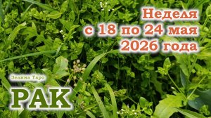 РАК | ТАРО прогноз на неделю с 18 по 24 мая 2026 года