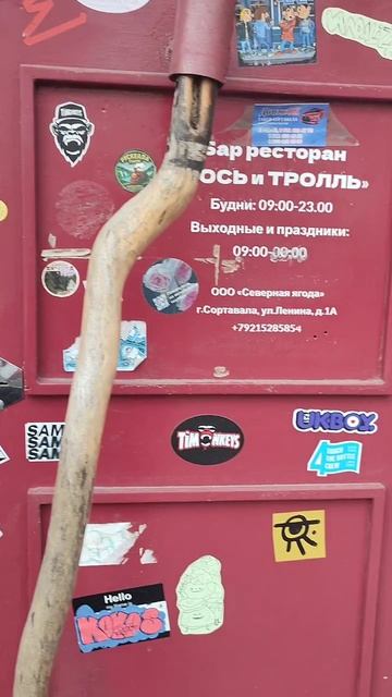 Дверь со стикерами город Сортовала 15.05.2026