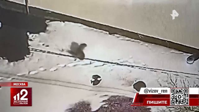 video_13060253573037.mp4