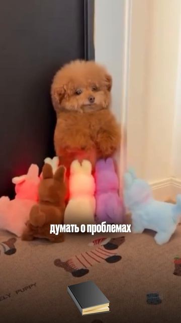 Присоединяйся к челленджу по прокачке своего мышления через коллективное чтение ССЫЛКА В ОПИСАНИИ