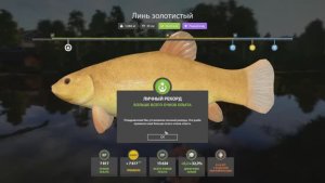 Russian Fishing 4 122 серия трофейный окунь, редкий золотистый линь