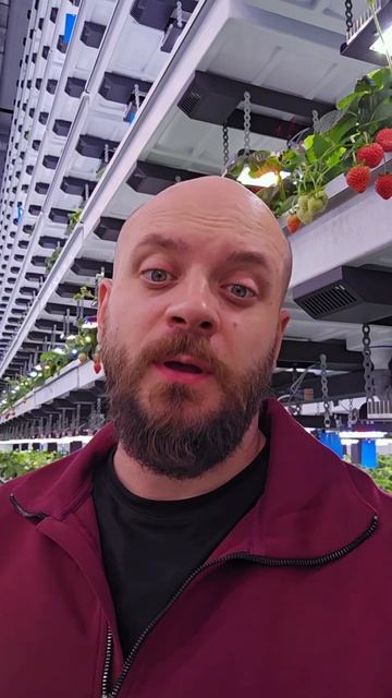 Хочешь свою ферму? Напиши нам!
