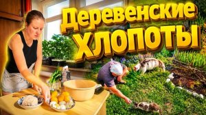 КУПИЛИ ДОМ В ДЕРЕВНЕ | Деревенские хлопоты | Семья в селе