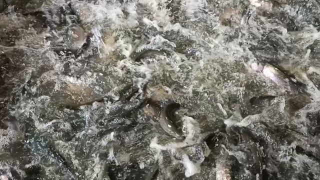 1000098326.mp4