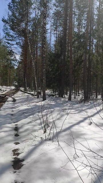 26 Апрель 2026