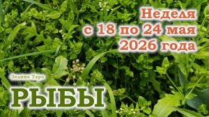 РЫБЫ | ТАРО прогноз на неделю с 18 по 24 мая 2026 года