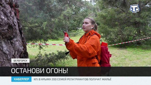 8 школьных лесничеств объединились на конференции в рамках всероссийской кампании «Останови огонь» смотреть онлайн