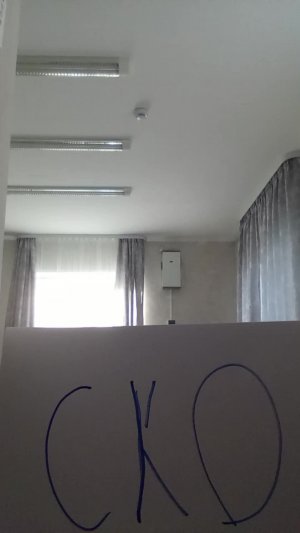 випгик