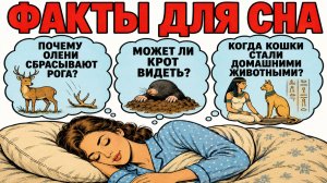 ФАКТЫ от которых ты ТОЧНО УСНЁШЬ