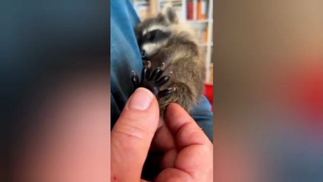 YouCut_20260515_193405296.mp4