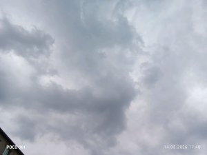 оцените пение плюс учёба
