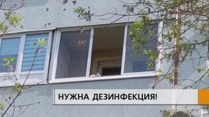 Месяц пытаются добиться уборки квартиры, в которой еще в марте умер молодой мужчина