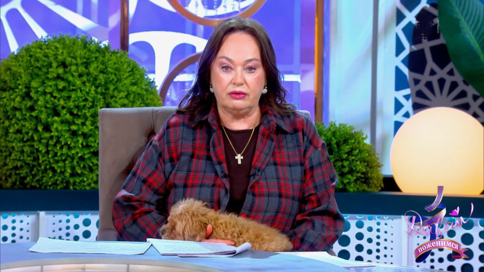 Давай поженимся. Выпуск от 14 мая 2026. Обзор