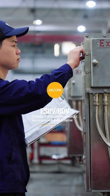 ESDV(BDV) Пневматический привод с вилочным механизмом-BIGTORK VALVE AUTO MATION