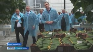 Глава Ставрополья посмотрел, как развивается тепличный комплекс в Предгорном округе