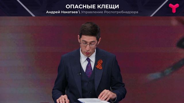 Тюменцев кусают клещи смотреть онлайн