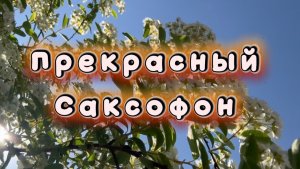 Прекрасный саксофон, удивительно красивая музыка для души