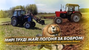 МИР! ТРУД! МАЙ! И ПОГОНЯ ЗА БОБРОМ!