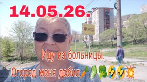 14 .05 .26 .//   Иду из больницы ///  Огород меня добил ///
