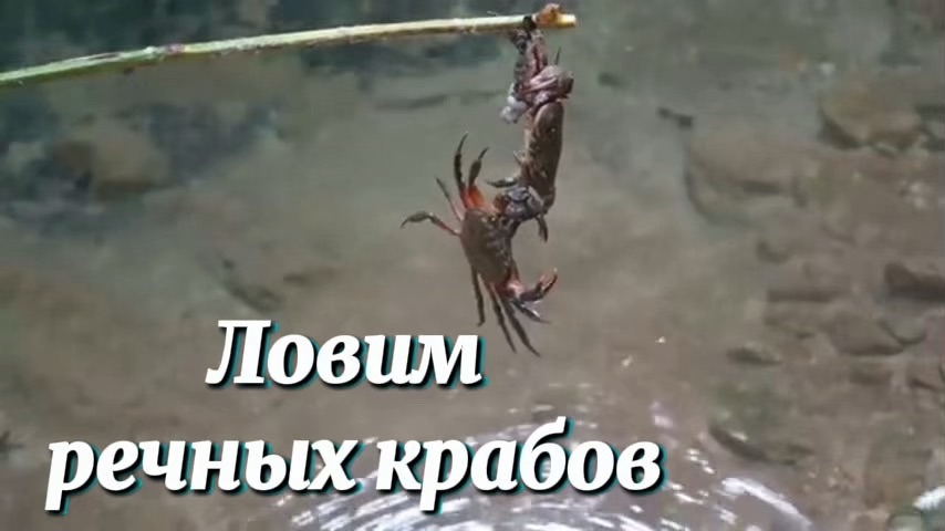 copy_CF5A86C4-2592-445C-B6F0-0B838C745196 смотреть онлайн