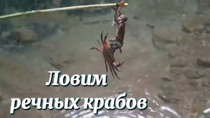 copy_CF5A86C4-2592-445C-B6F0-0B838C745196
