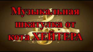 Музыкальная шкатулка от кота ХЕЙТЕРА .
